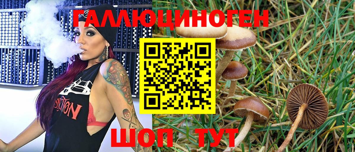 Галлюциногенные грибы MAGIC MUSHROOMS Донской